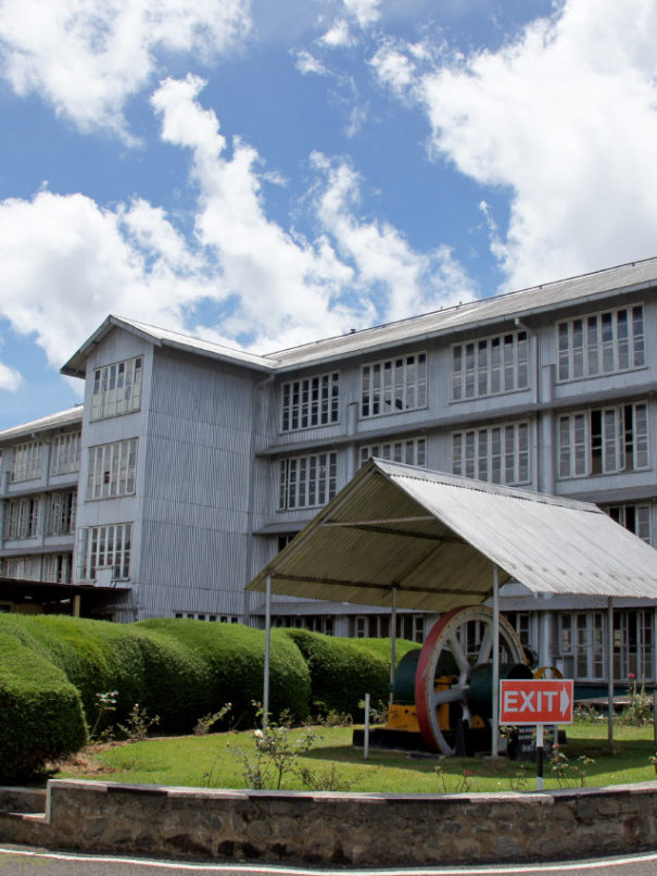 Pedro Tea Estate Factory